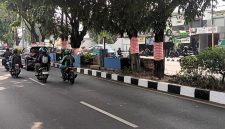 Dalam rangka memperingati HUT ke-81 RI, pepohonan di Jalan Margonda dan sejumlah lokasi lainnya di Kota Depok dibalut kain merah putih. (Sumber foto: Indoraya Today)