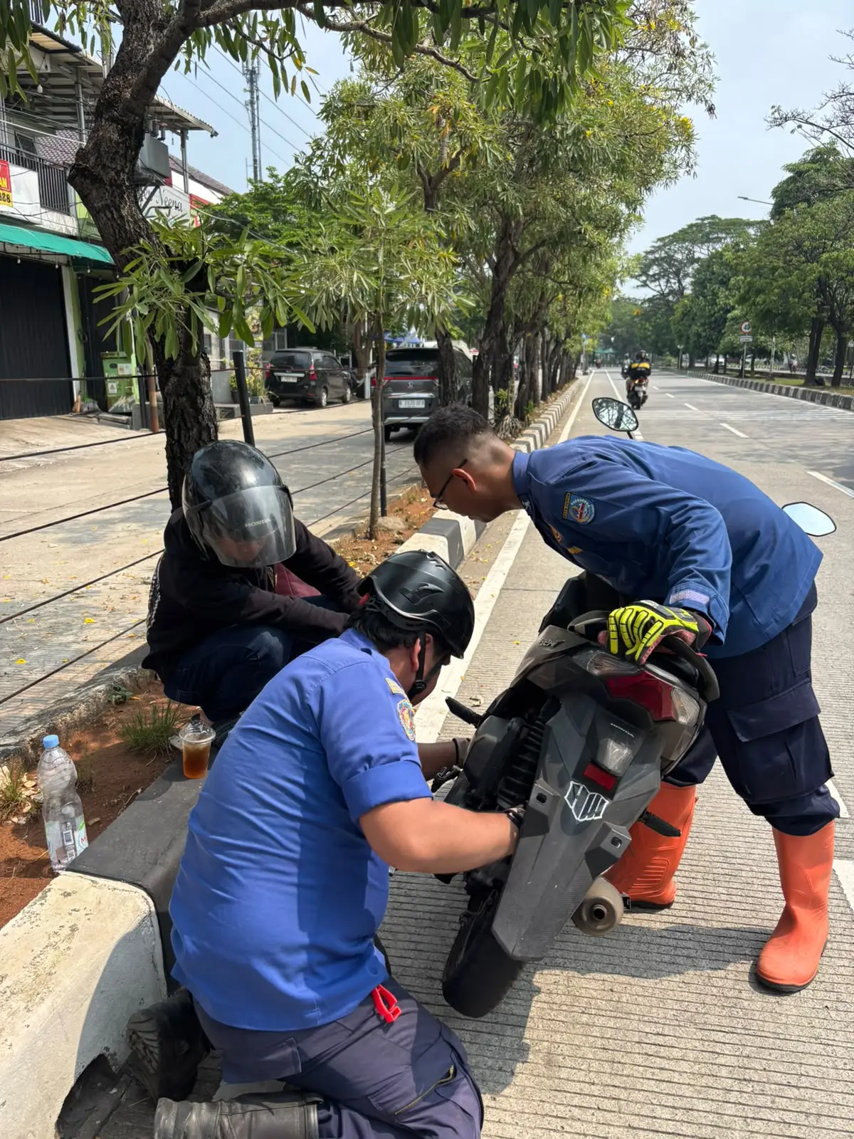 Seekor kucing yang terjebak di rongga sepeda motor warga di Jalan Boulevard GDC, Cluster Azalea W1 No. 54, Jatimulya, Cilodong, berhasil dievakuasi oleh petugas Damkar Depok. (Foto: Dok. Damkar Depok)
